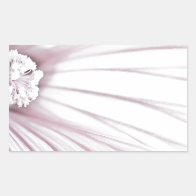 Lavatera Flower Macro Rectangular Sticker (Front)