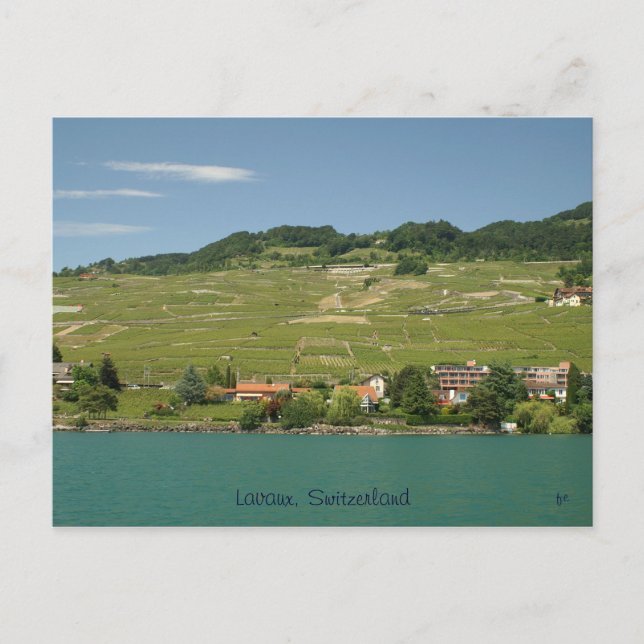 Lavaux Postcard (Front)