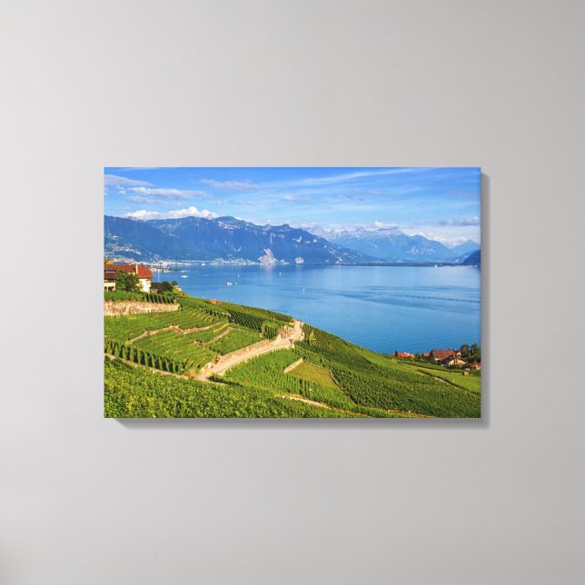 Lavaux region, Vaud, Switzerland Canvas Print (Front)