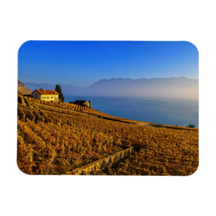 Lavaux region, Vaud, Switzerland Magnet