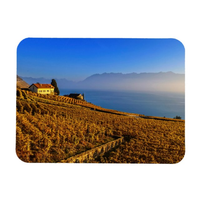 Lavaux region, Vaud, Switzerland Magnet (Horizontal)