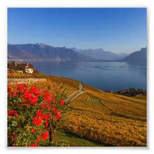 Lavaux region, Vaud, Switzerland Photo Print
