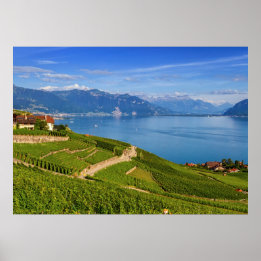 Lavaux region, Vaud, Switzerland Poster