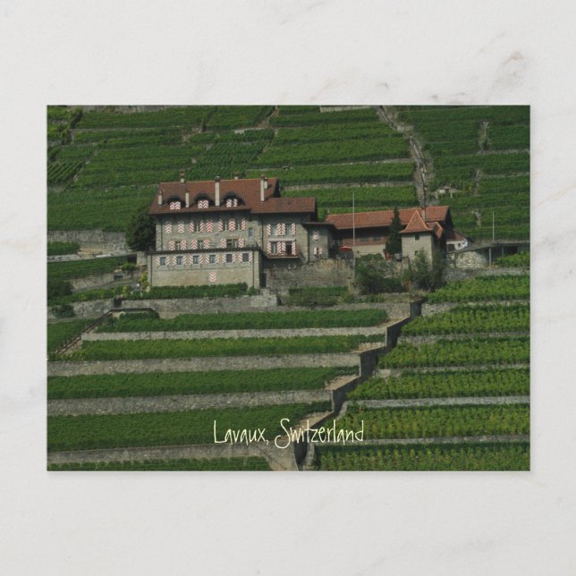 Lavaux, Switzerland Postcard (Front)