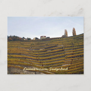 Lavaux terraces postcard