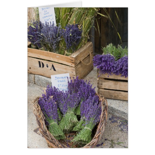 Lavendar for sale, Provence, France (Front)