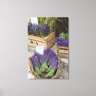 Lavendar for sale, Provence, France Canvas Print