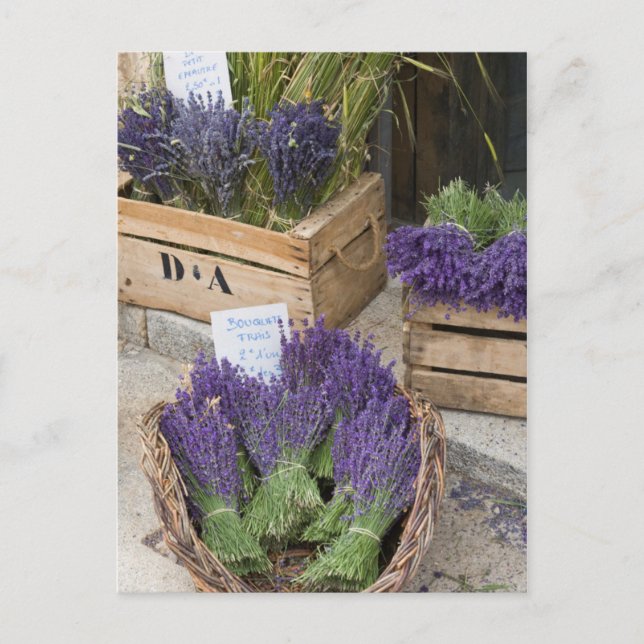Lavendar for sale, Provence, France Postcard (Front)