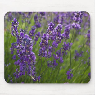 Lavendar Lavendel Mouse Mat