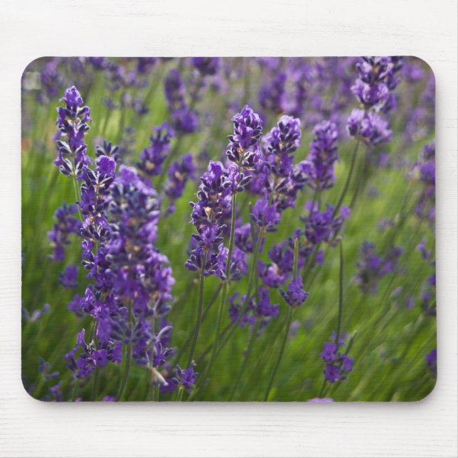 Lavendar | Lavendel Mouse Mat (Front)