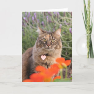Lavendar, Nasturtium, and Tortoiseshell Cat Card