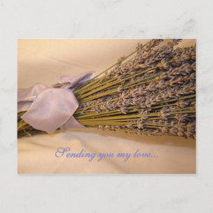 Lavendar Postcard