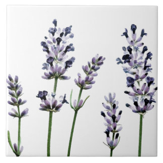 Lavendar | Purple Floral Flowers Pastel Tile