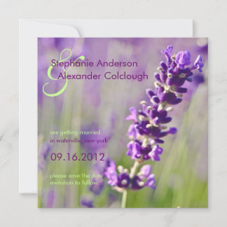 Lavendar • Save the Date Announcement