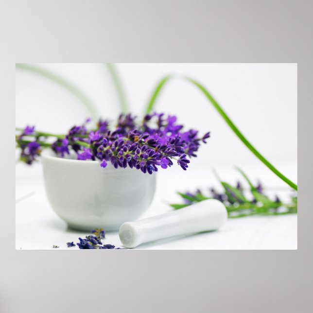 Lavendel Duft Poster (Front)