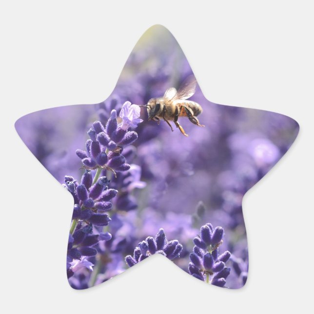 Lavender and Bees Star Sticker (Front)