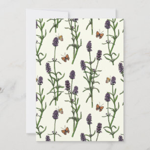 Lavender and butterflies on off white