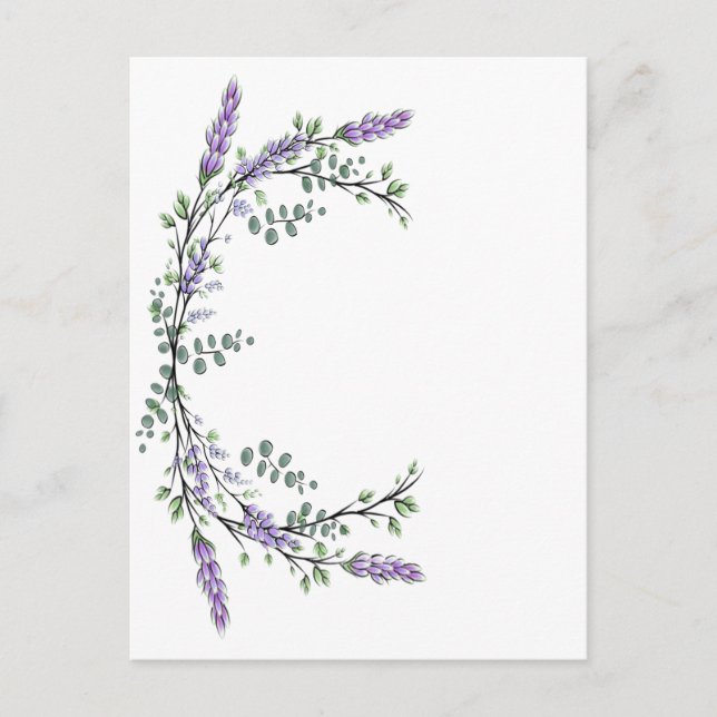 Lavender  and Eucalyptus Postcard (Front)