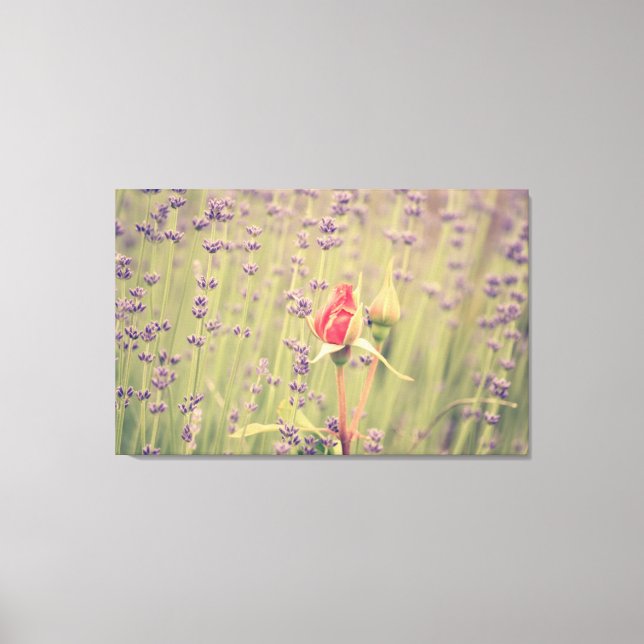 Lavender and Rose Flowers Canvas Print (Front)