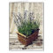 lavender basket