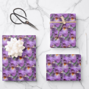 Lavender Bearded Iris Flower Nature Pattern Wrapping Paper Sheet