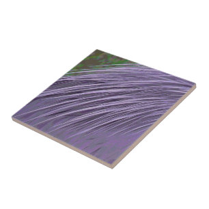 Lavender Blue Feathers Tile