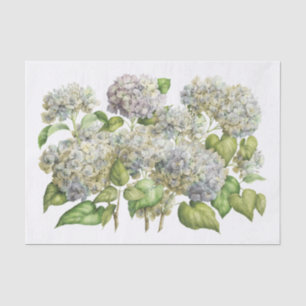 Lavender Blue Hydrangea Botanical Floral Bouquet Tissue Paper