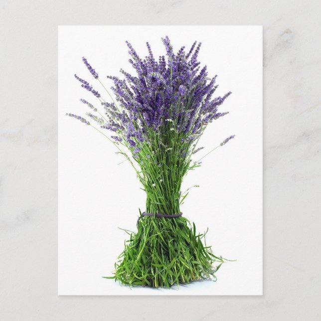 Lavender bouquet postcard (Front)