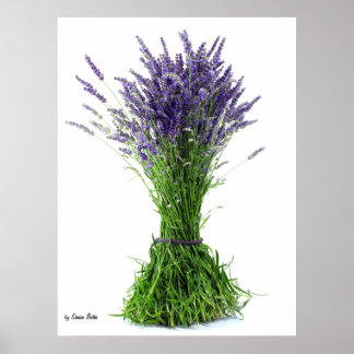 Lavender bouquet poster