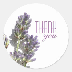 Lavender Bunch Thank You Stickers