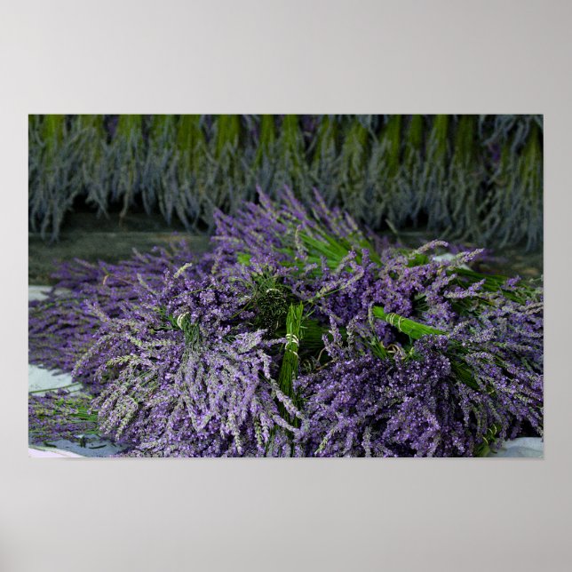 Lavender Bundles Poster (Front)