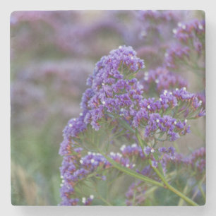 Lavender by the ocean stone coaster