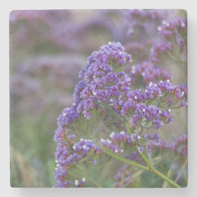 Lavender by the ocean stone coaster (Front)