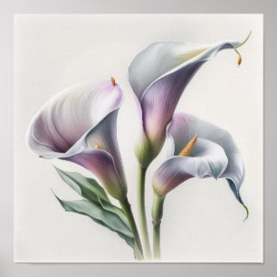 Lavender Calla Lilies Lily Flower Art Print Poster