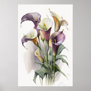 Lavender Calla Lilies Lily Flower Art Print Poster