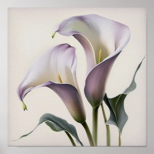 Lavender Calla Lilies Lily Flower Art Print Poster
