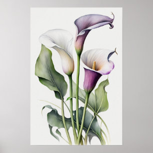 Lavender Calla Lilies Lily Flower Art Print Poster