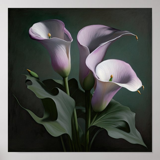 Lavender Calla Lilies Lily Flower Art Print Poster (Front)