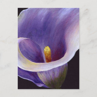 Lavender Calla Lily Postcard
