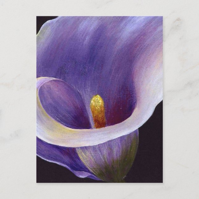 Lavender Calla Lily Postcard (Front)