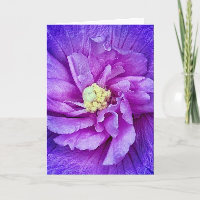 Lavender Chiffon Hibiscus Blank Greeting Card (Front)