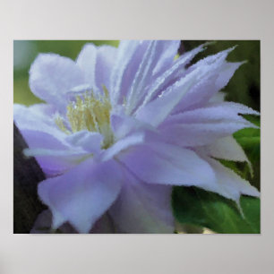 Lavender Clematis Flower Art Photo Painting Poster