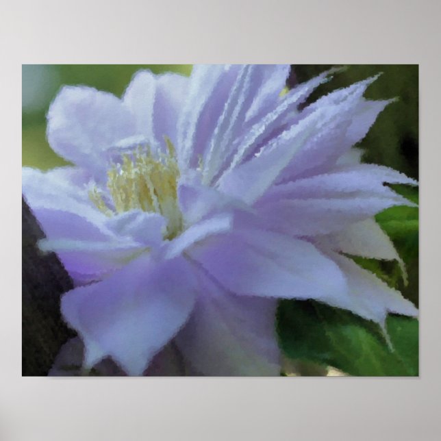 Lavender Clematis Flower Art Photo Painting Poster (Front)