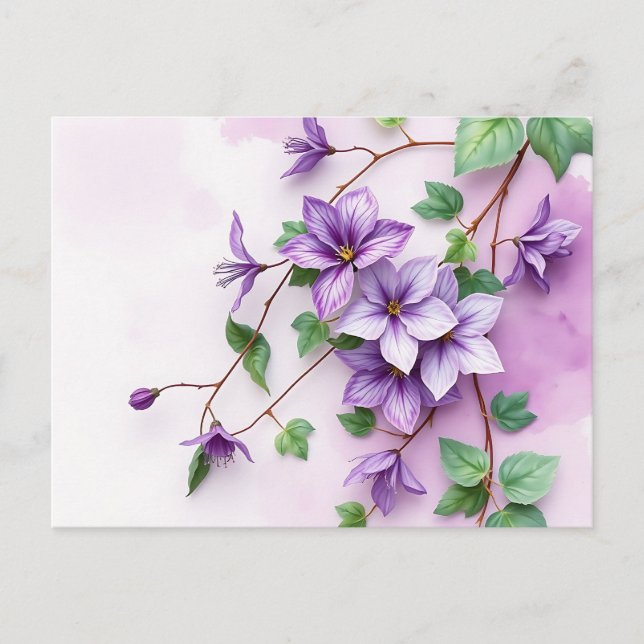 Lavender Clematis Vine Watercolor  Postcard (Front)