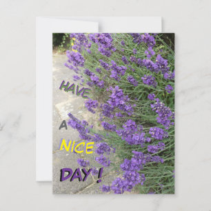 Lavender Cust. Text Have a Nice Day Postcard