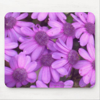 Lavender Daisies Mouse Mat