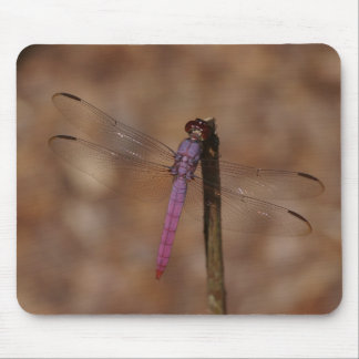 lavender dragonfly mouse mat