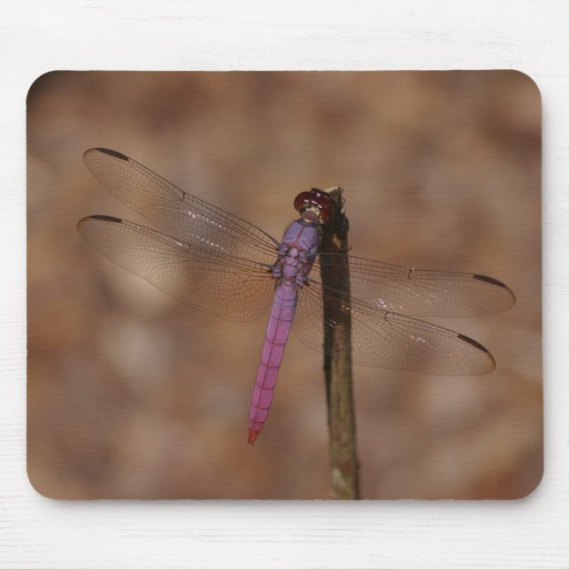 lavender dragonfly mouse mat (Front)