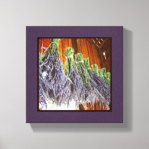 Lavender Drying in a Barn Canvas Print