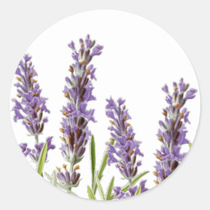 Lavender Envelope Seal Sticker